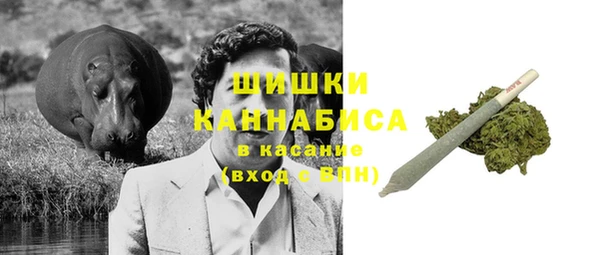 ПСИЛОЦИБИНОВЫЕ ГРИБЫ Шарыпово