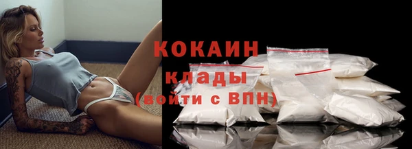 мдпв Шадринск