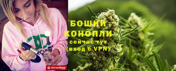 мдпв Шадринск