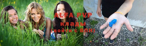 прущие крисы Шали