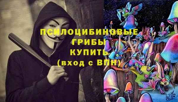 прущие крисы Шали